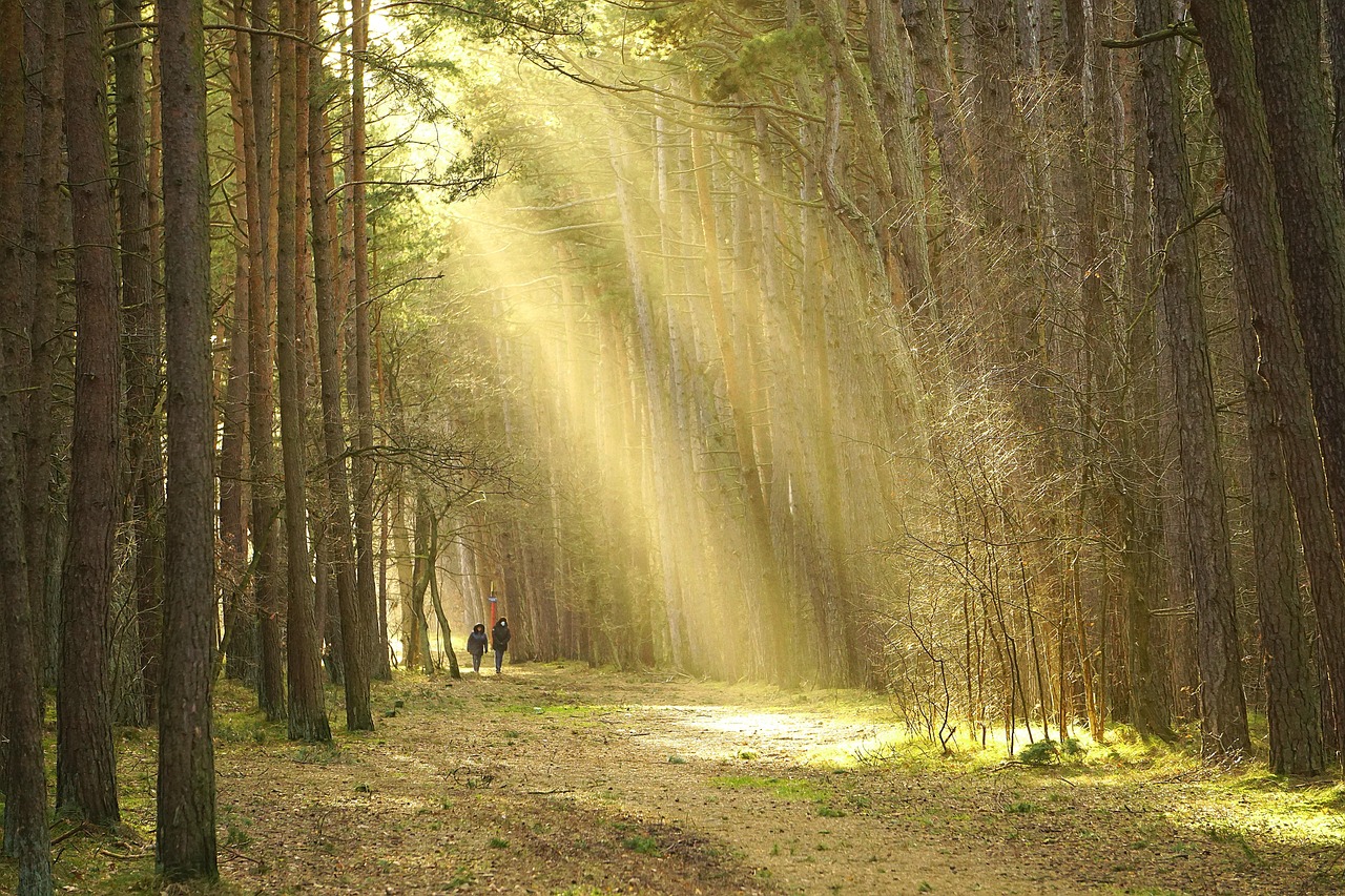 旅行中にダイエットを維持するためのコツは？