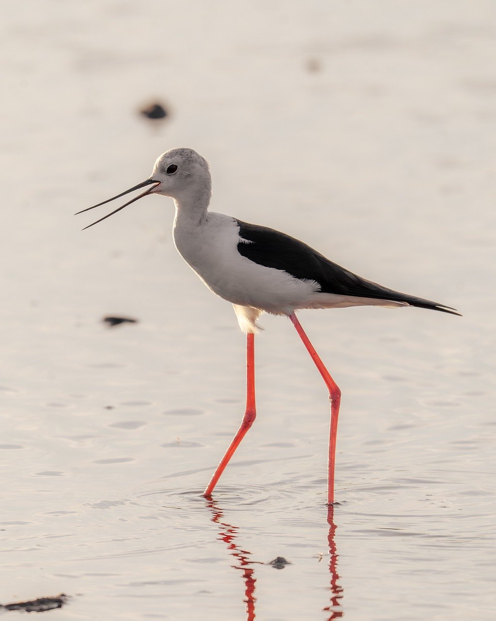 女性が生理前の爆食をリセットするための効果的なダイエット法は？