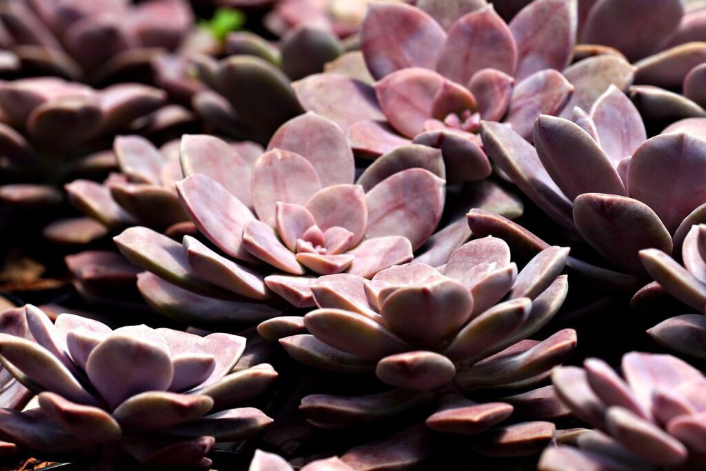 女性がファスティングに失敗する原因とは？