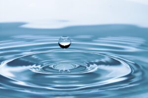 女性がダイエットで体脂肪を効果的に落とす方法は？