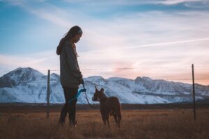 女性のダイエット仲間を作るための効果的な方法は？